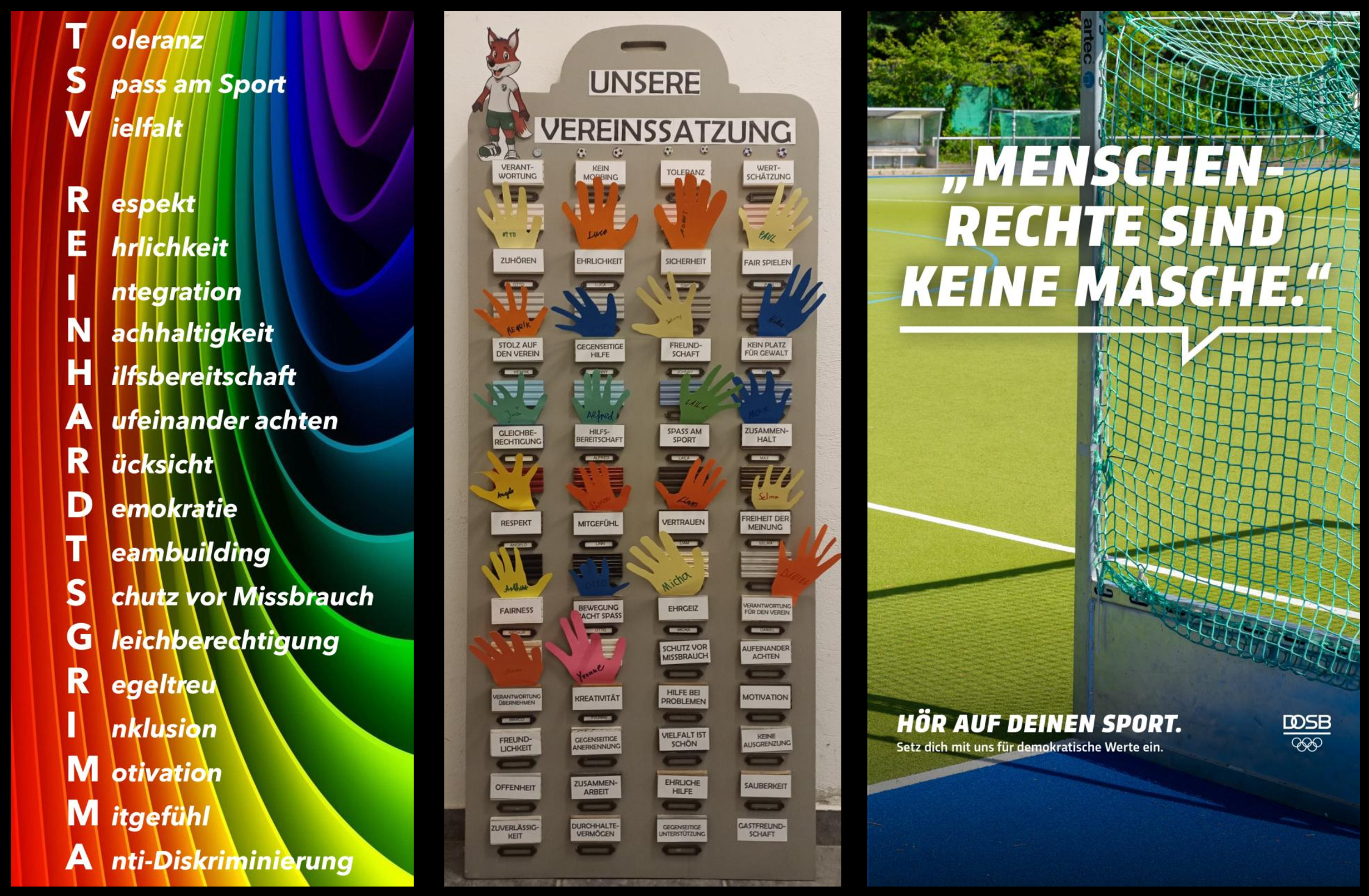 Die Werte des Sports
